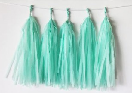 Mint Green Tissue Tassel Garland